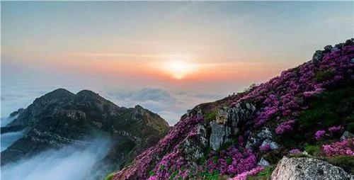 黄金街道属于哪个区,金州区先进街道渤海街