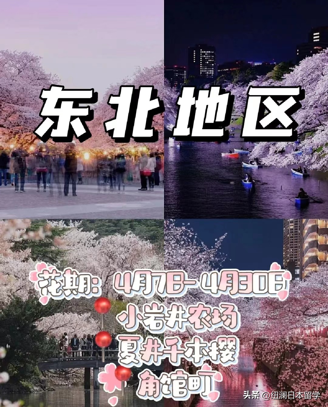 日本最晚赏樱的地方在哪里,日本的赏樱胜地包含哪些