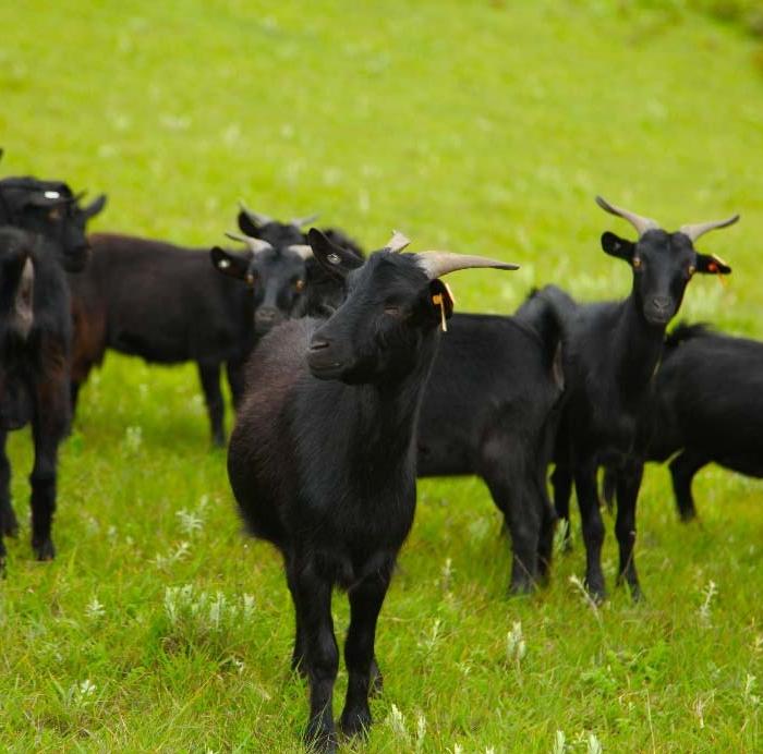浼氫笢鍐ぉ,浼氫笢鍐姘旀俯