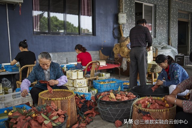 新型家庭农场的致富路,家庭农场的发展红利又将迎来高潮