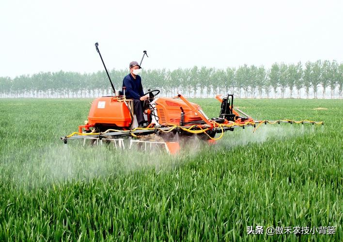 杀虫剂吡虫啉好还是啶虫脒好,杀虫剂吡虫啉的特性及使用方法