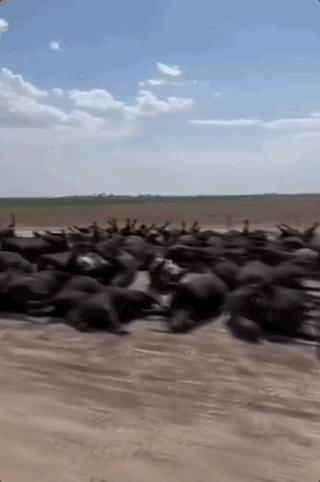 夏季高温中暑事件,高温中暑死亡事件预警