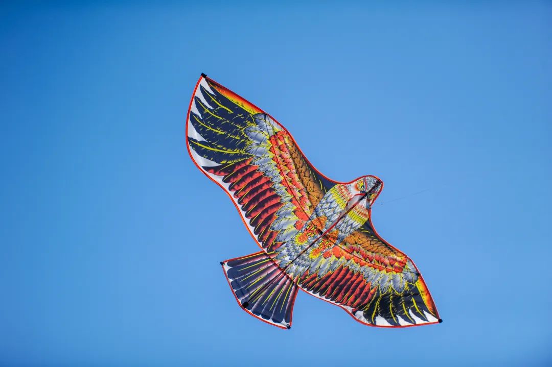 春天的天空是属于风筝的，快收藏济南这些放风筝的好地方！