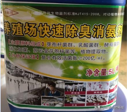 养猪场臭气怎么解决,猪舍臭气治理