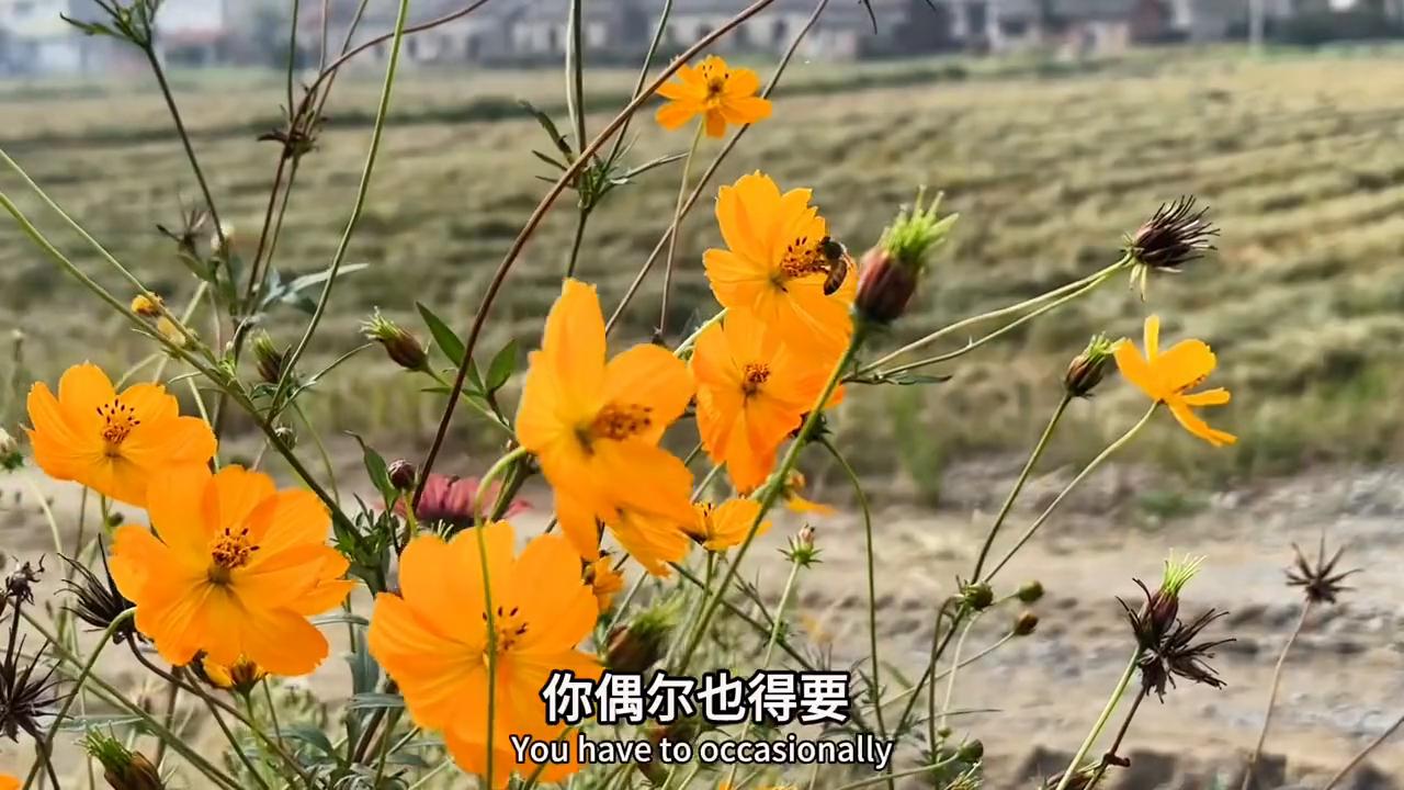 如果媳妇对你不好怎么办,媳妇对你冷淡该怎么做