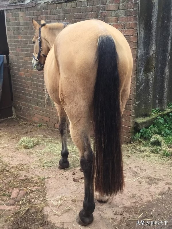 英国陪读活动,英国陪读的日常