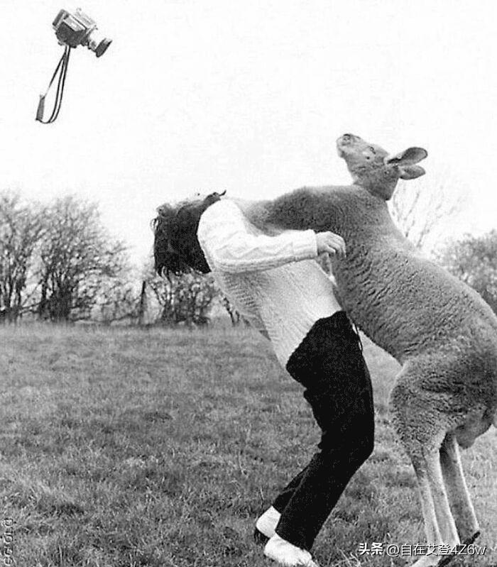 日军有多变态,日寇在火车上殴打老妇人