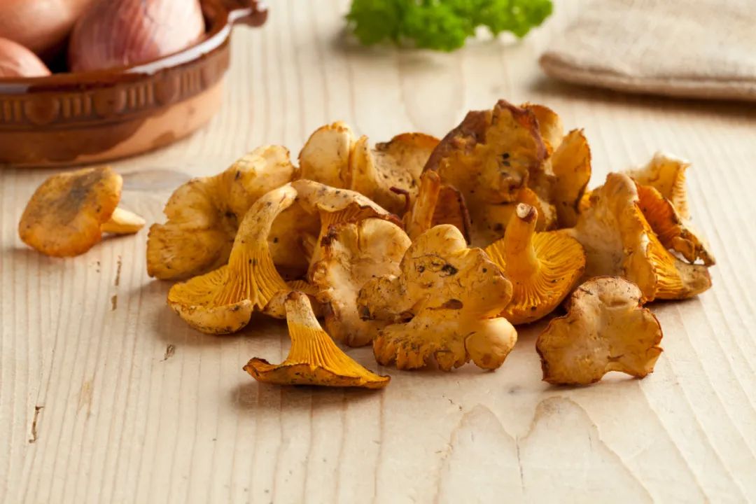 云南好吃的野生菌有哪些,云南野生菌最好吃的哪几种