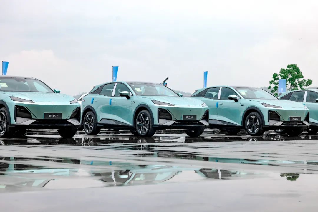 深蓝要让“平权理念”更深入人心