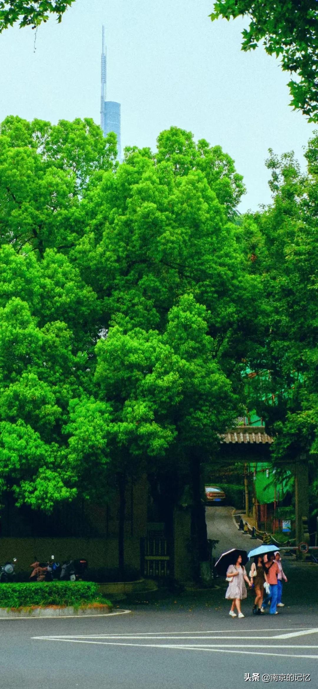 在南京生活很幸福吗,在南京生活