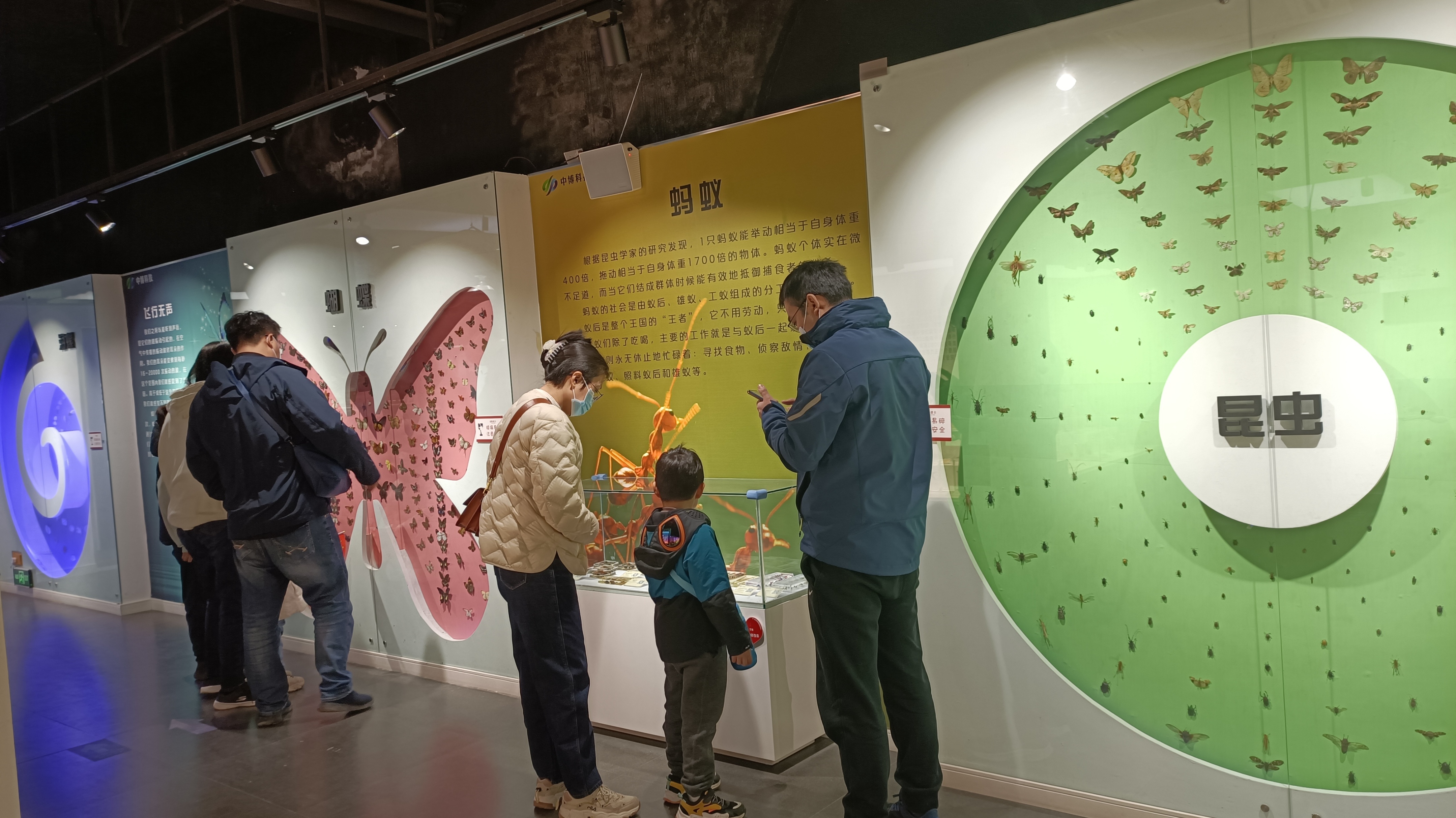 郑州春天去哪里旅游,郑州周边适合春天去的地方