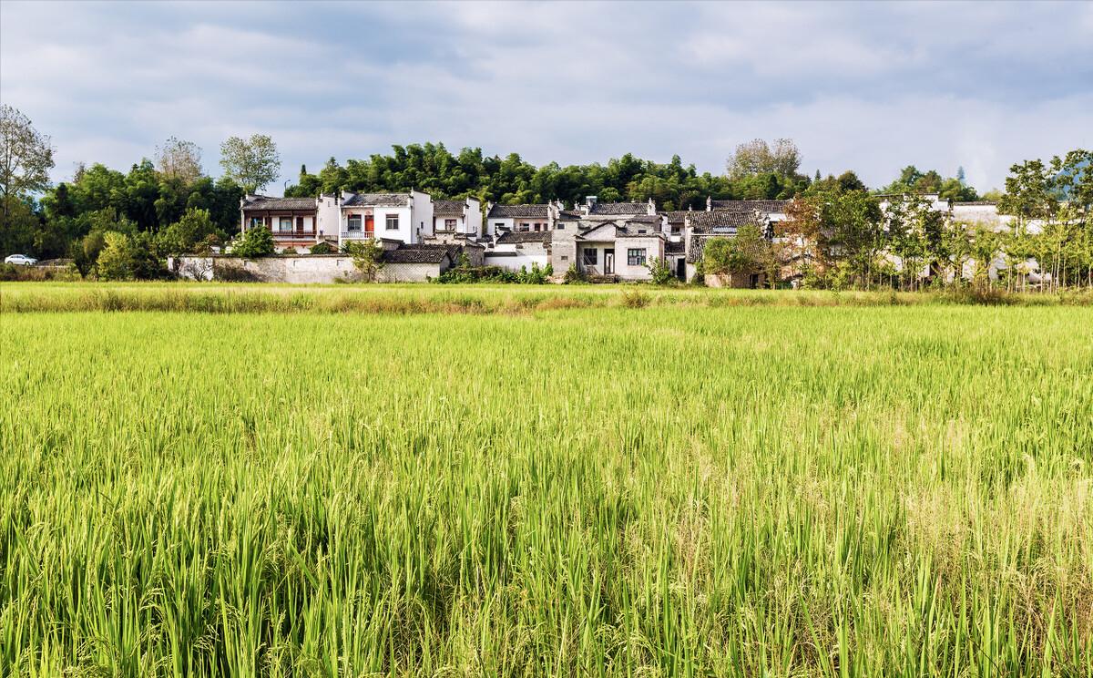 90鍚庡コ瀛╄繑涔″垱涓氱灏忕ɑ,90鍚庤繑涔″垱涓氬ぇ瀛︾敓绉嶆姘寸ɑ