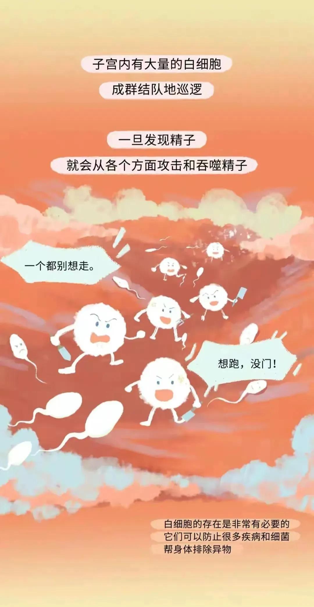 如何怀孕具体步骤图片,怎样才会怀孕简单的图片