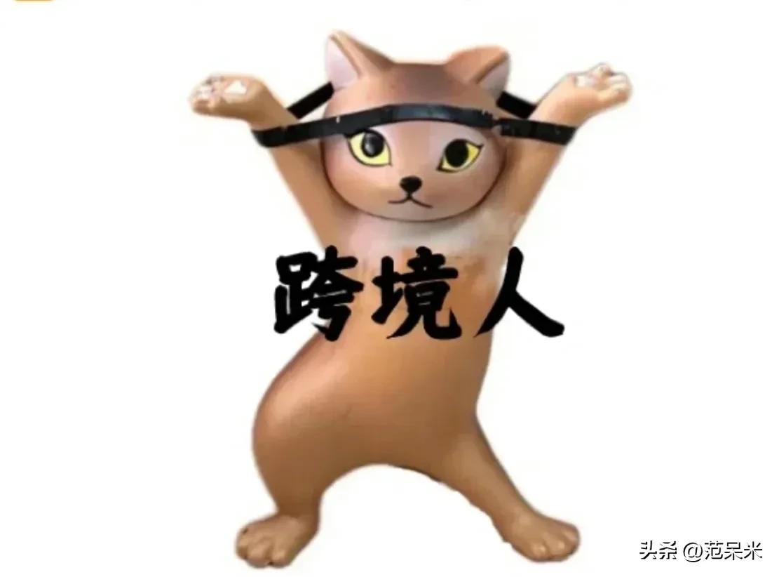 跨境电商针对产品的分析,跨境电商如何利用海外仓节约成本