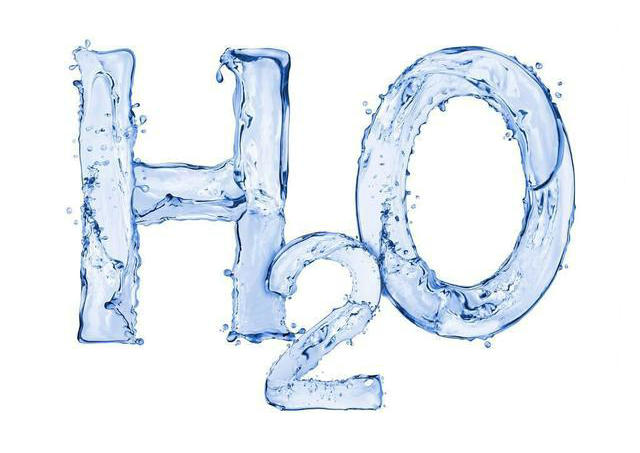 金鱼好养吗养金鱼的注意事项,金鱼怎么养才能养好不生病