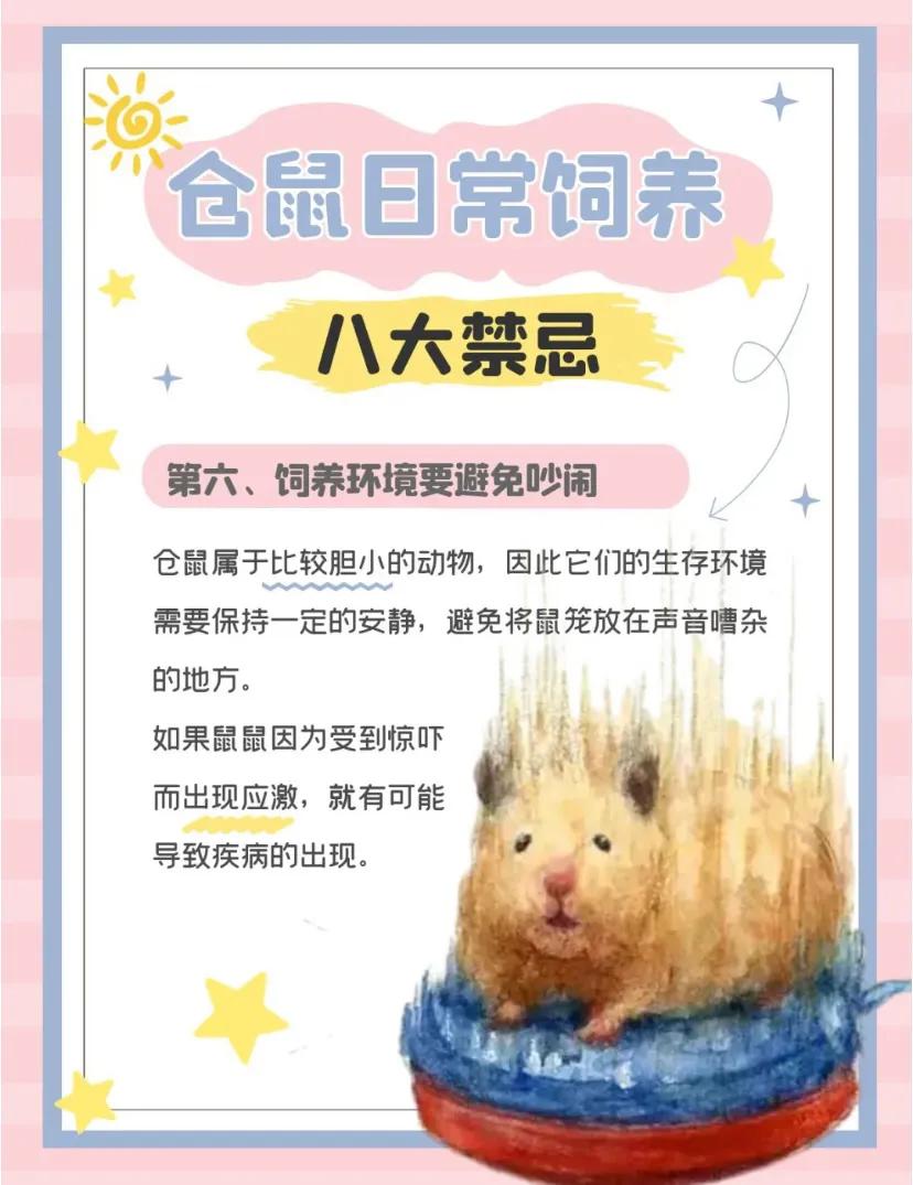 仓鼠忌讳,仓鼠大忌