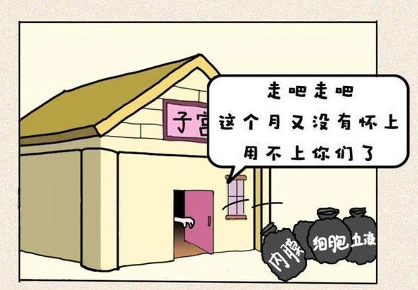 姨妈巾上不仅有经血，还出现了一坨“肉”，这究竟是什么东西？