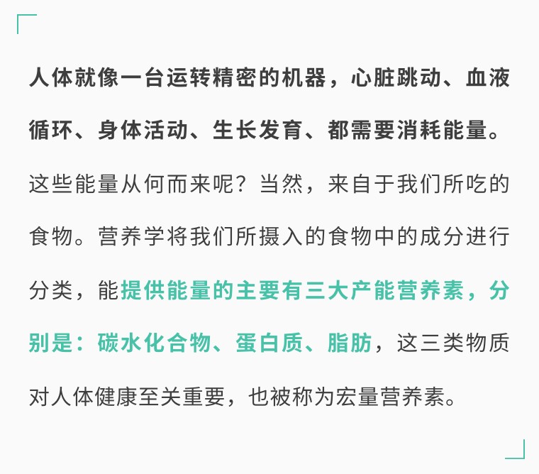 减肥晚上很饿怎么消除饥饿感,减肥饿到胃难受怎么办