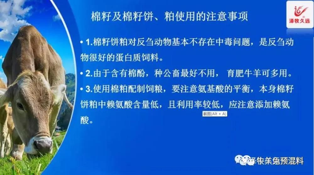 豆粕成本价格计算公式,豆粕上涨养猪的能提价吗