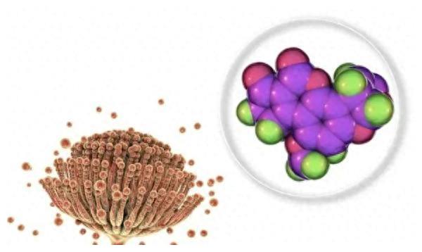 轻则中毒，重则致命！这个“超级致癌物”就在身边