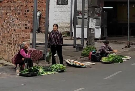 南宁城中村分红最多,南宁城中村一年收入