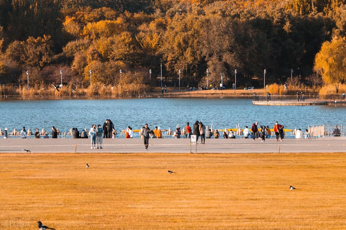 朝阳区文旅局,北京朝阳区文旅局电话