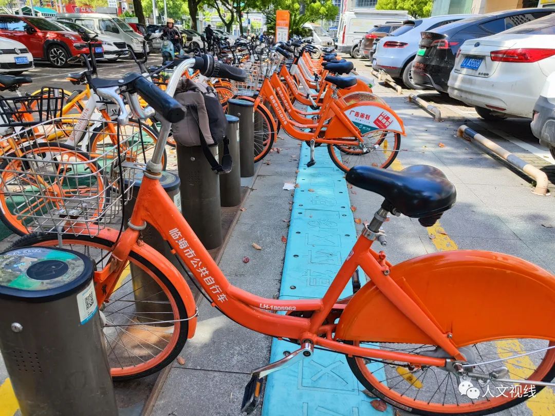 清明回乡,清明祭祖回乡记