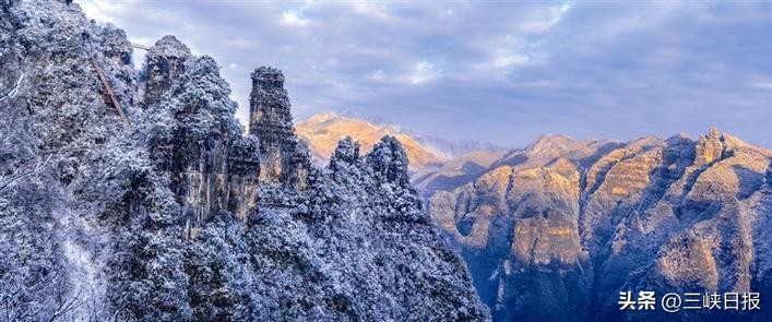 魅力茶乡激荡“绿色交响”——湖北五峰奋力创建全国“两山”实践创新示范县