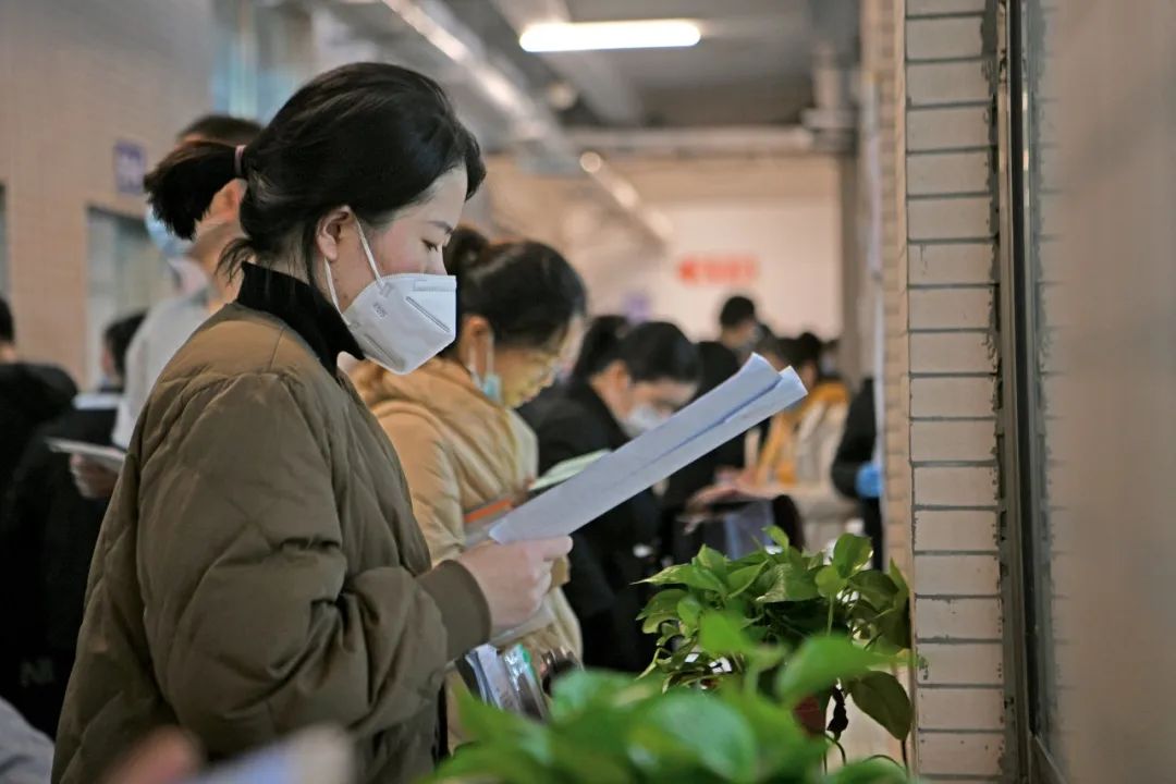 实习律师困境,实习律师年入百万