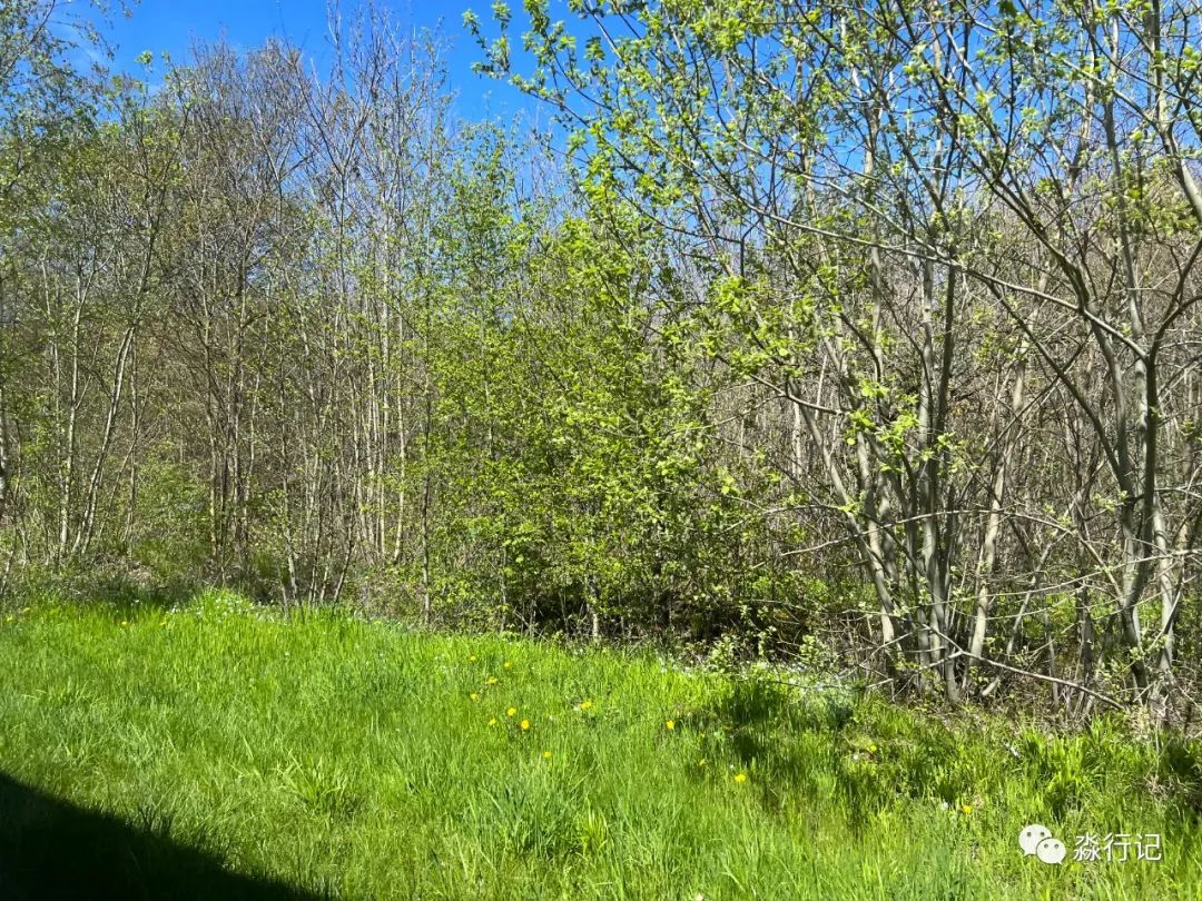 布痕瓦尔德集中营第三营区,坐着火车游英国