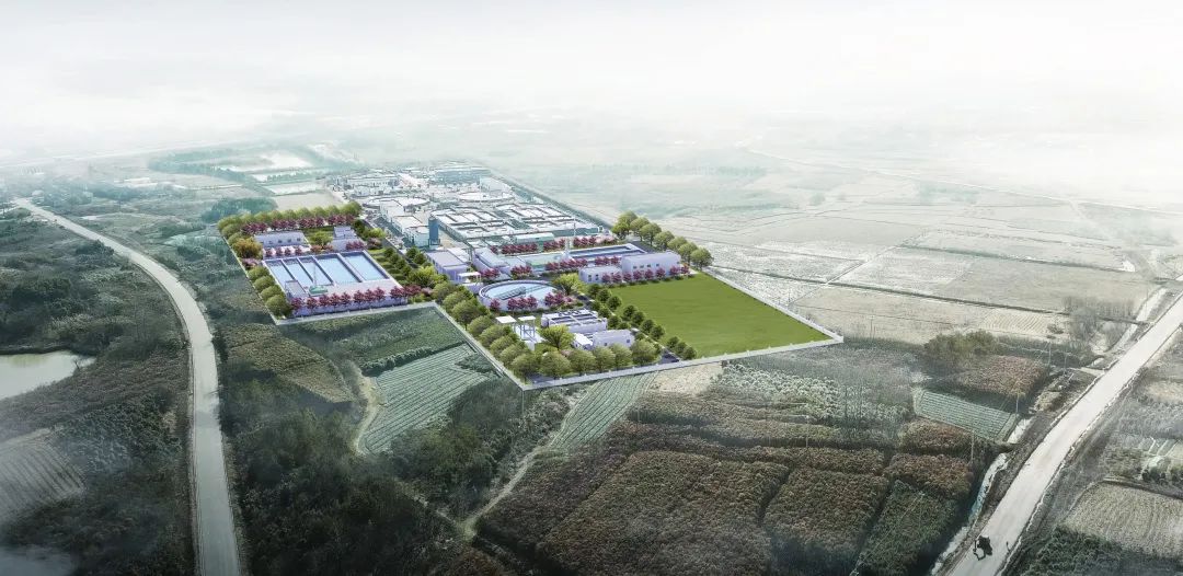 提前10个月!中派片区这个项目今年11月底投用