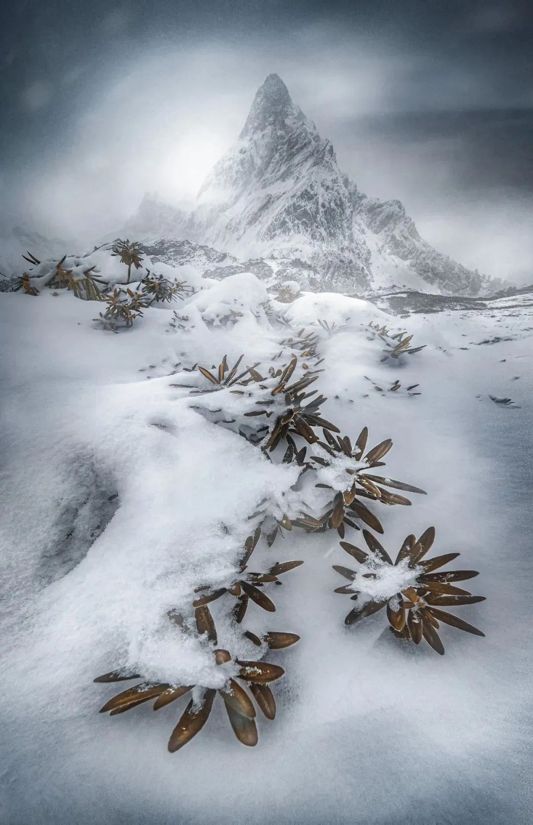 奥斯卡摄影奖中国获得者,摄影界的最高奖项叫什么