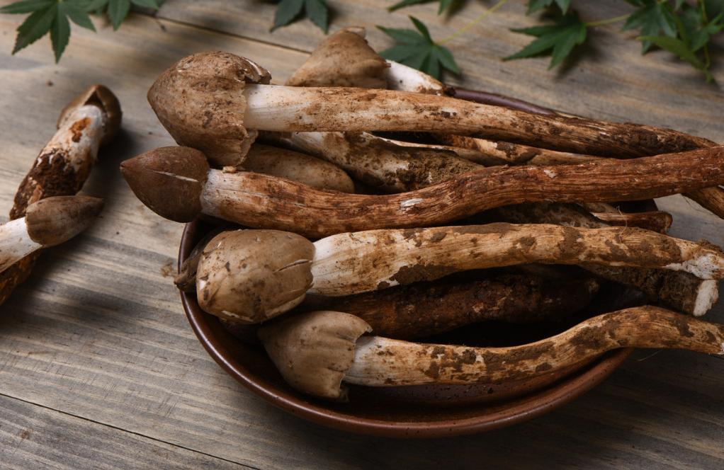 增强抵抗力免疫力吃的氨基酸,吃什么氨基酸能提高免疫力最快