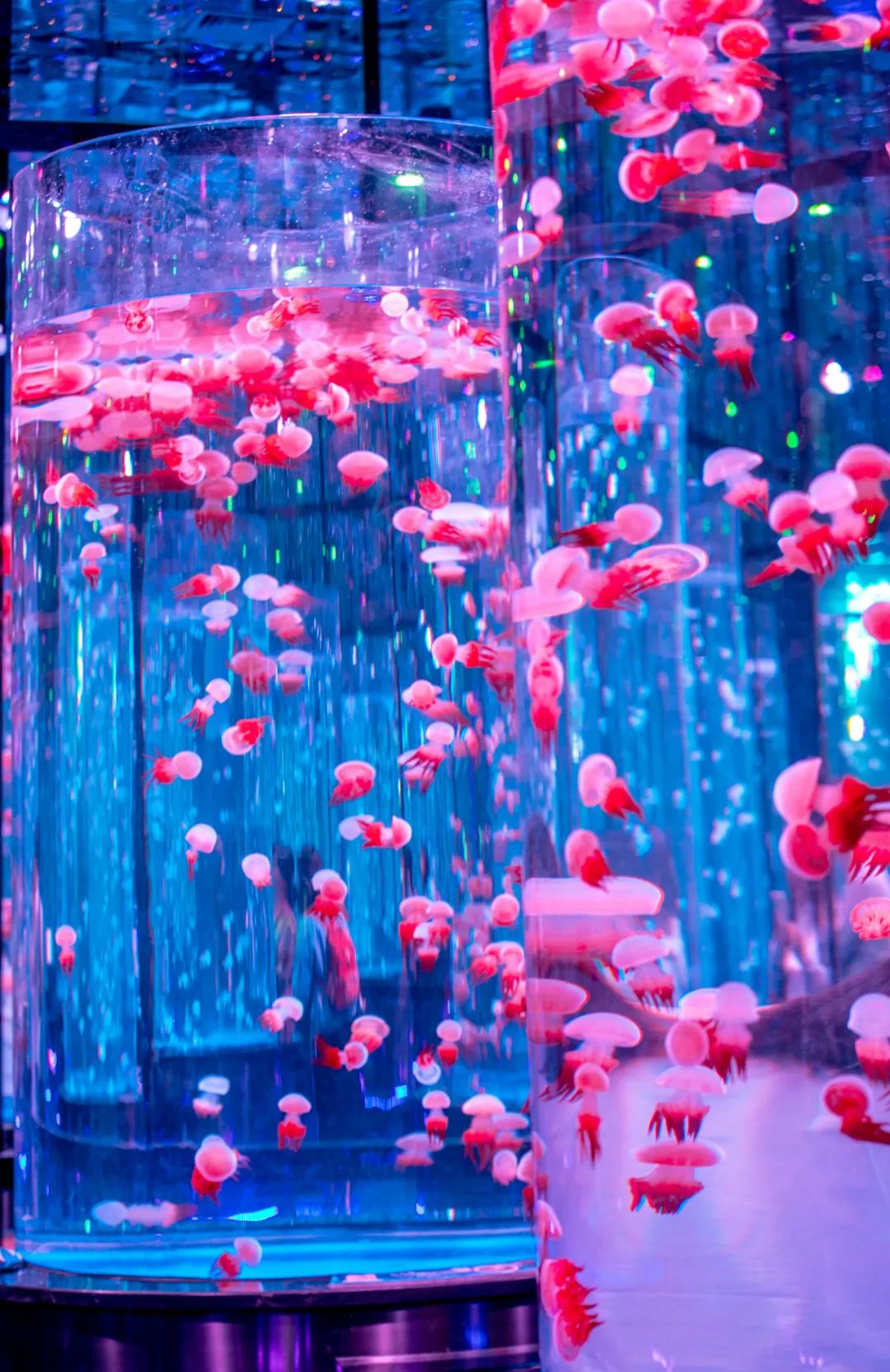 济南遛娃免费攻略,济南适合遛娃的地方