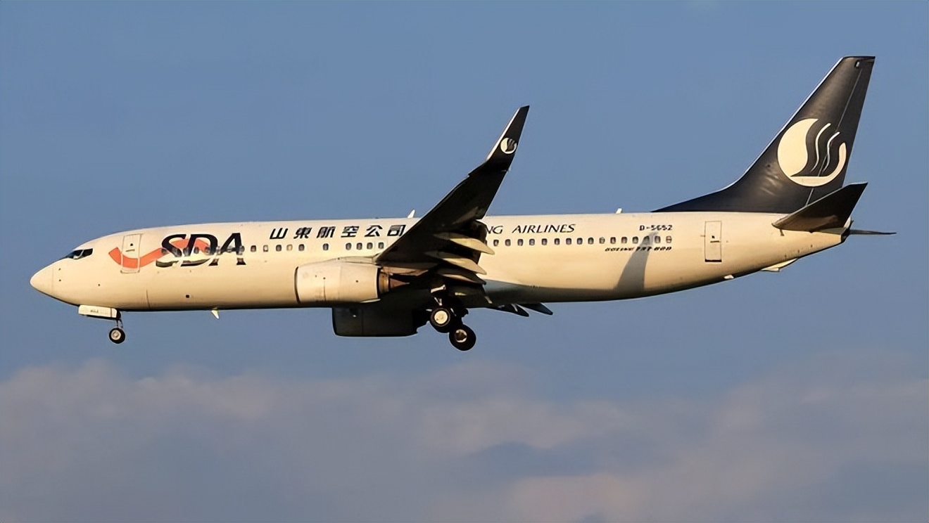 海信青岛啤酒,青岛啤酒与海信对比