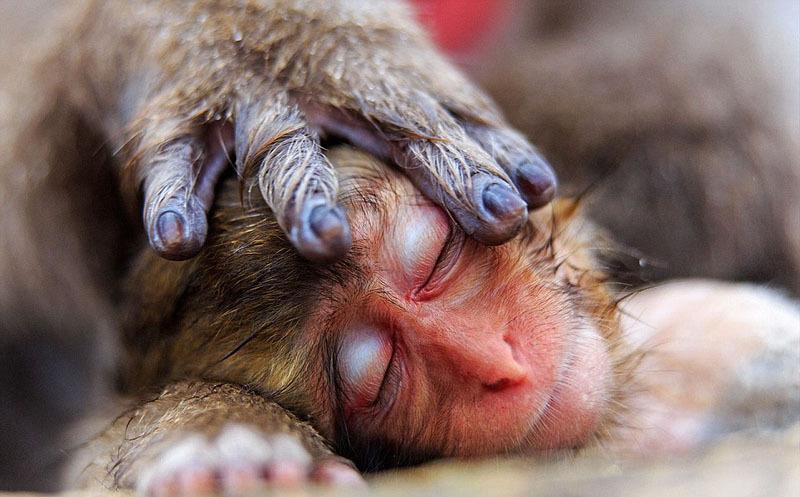 梦露惊艳写真图,女神梦露写真