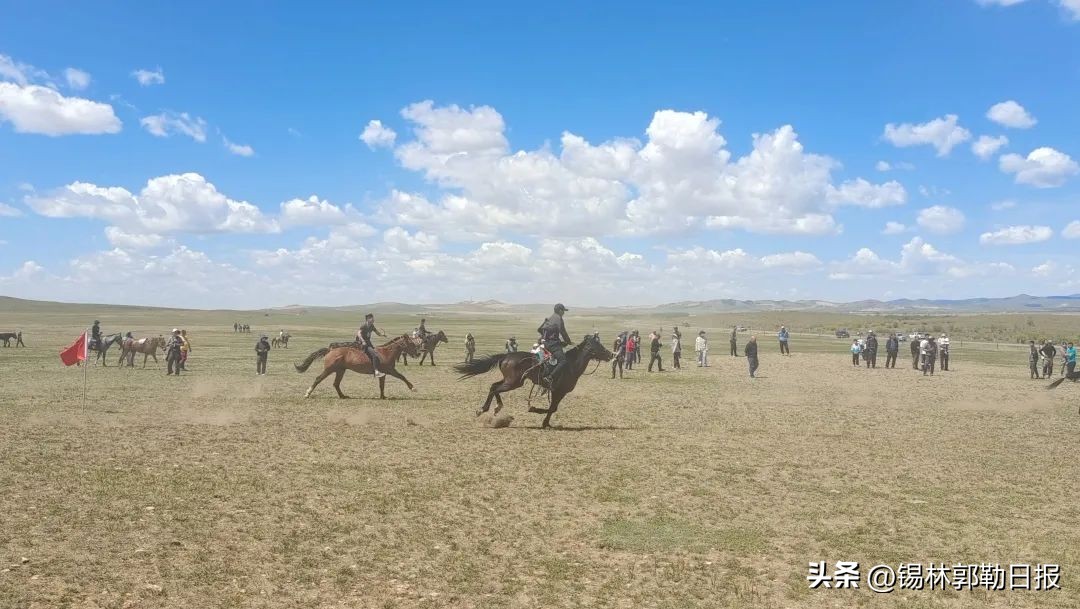 看！这场由农牧民自发组织的比赛吸近900余名游客观看！