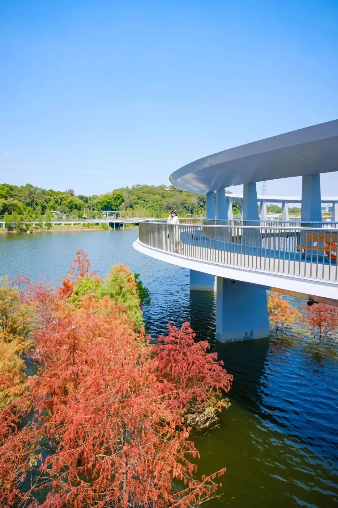 厦门秋游最佳去处,厦门周边秋游