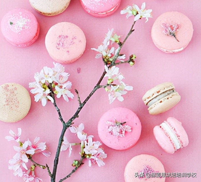 杭州专业西点学校学蛋糕培训费用,杭州西点免费培训