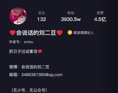 猫界顶流刘二豆,喵界顶流二豆