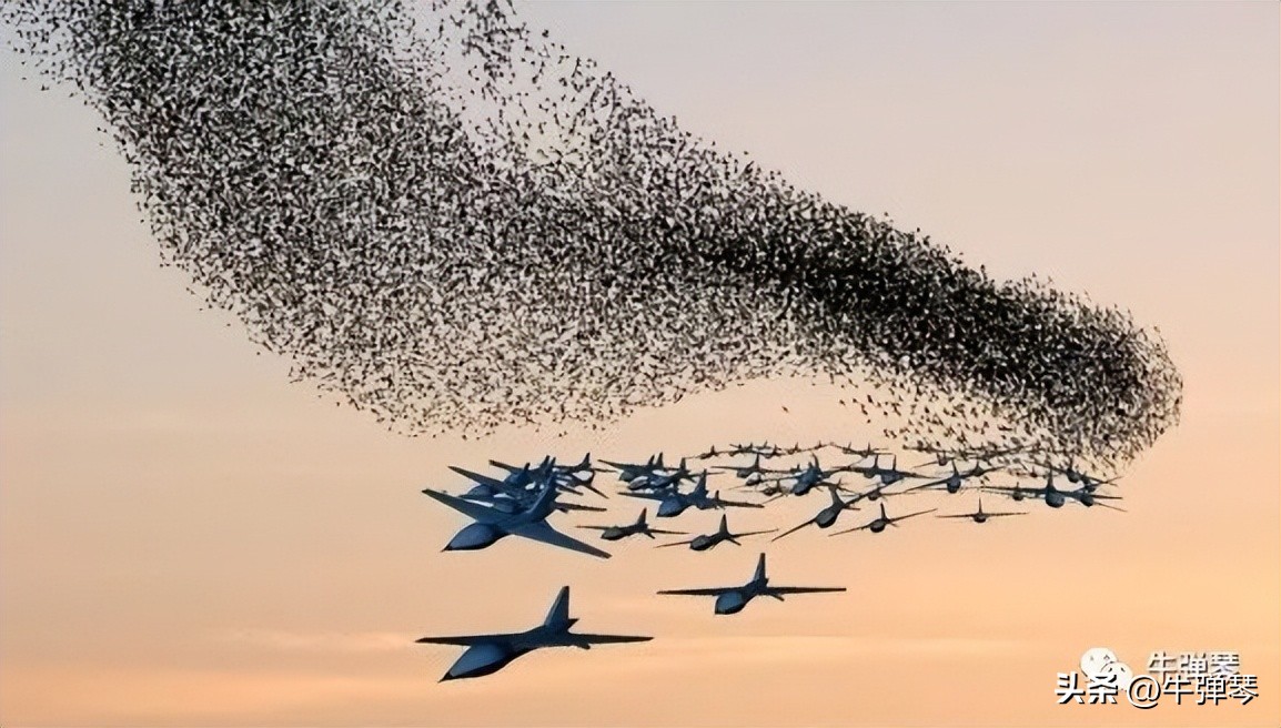 俄乌战场最新信息,最新俄乌战场态势及下步动向分析