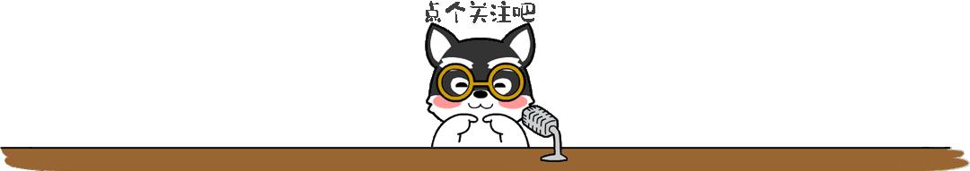 2019年大ip,2019大ip