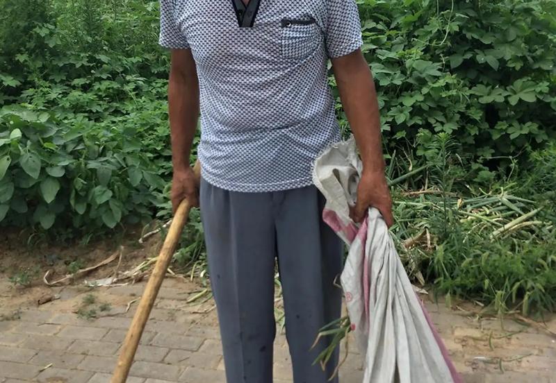 95年吉林农妇好心救毒蛇,吉林农妇好心收养毒蛇