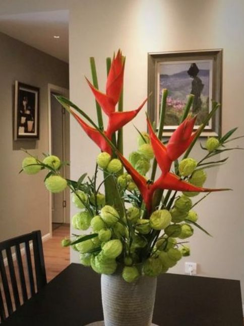 富贵鸟花卉如何养护视频,富贵鸟怎样养护