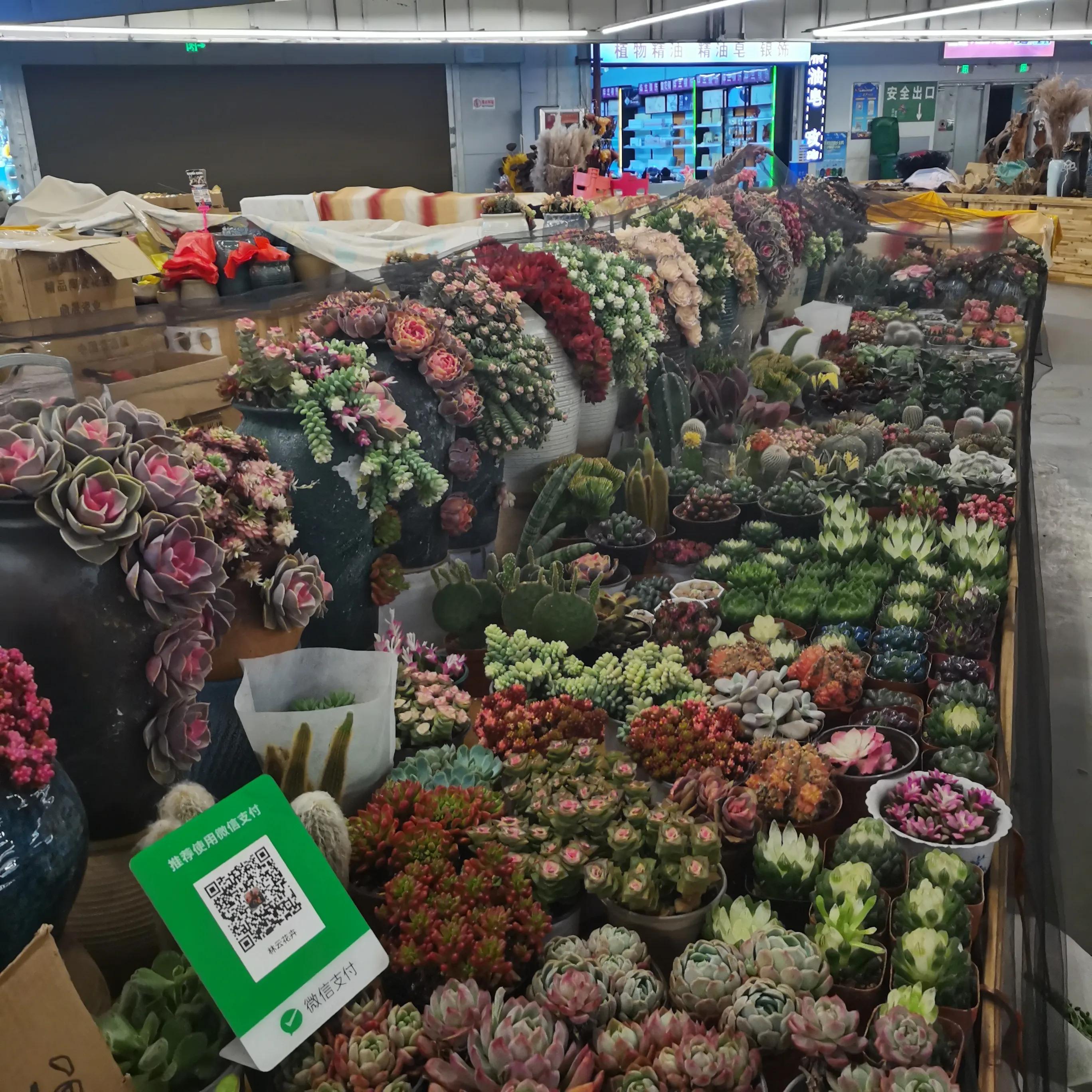 云南西双版纳有哪些景点值得去玩,西双版纳最值得一去的景点大排名