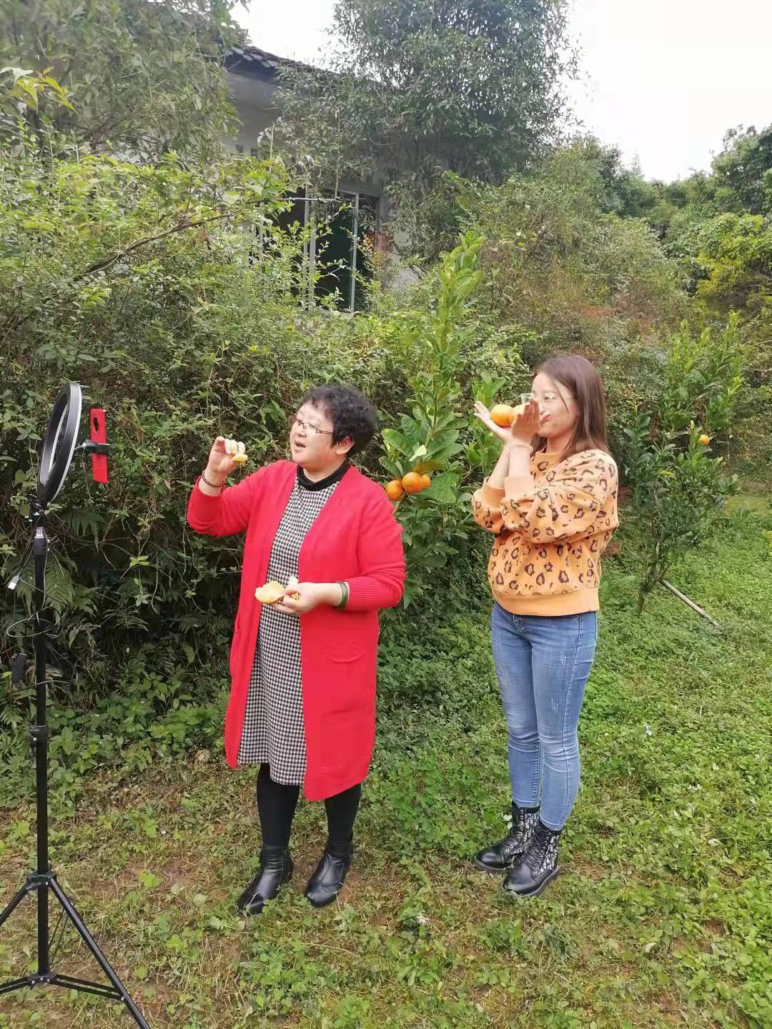 30万只肉兔养殖助力脱贫,兔养殖带动脱贫攻坚