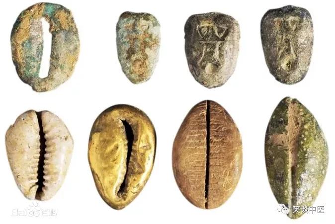 高血压要药：中药紫贝齿，曾比黄金值钱！缅怀杨大绮先生