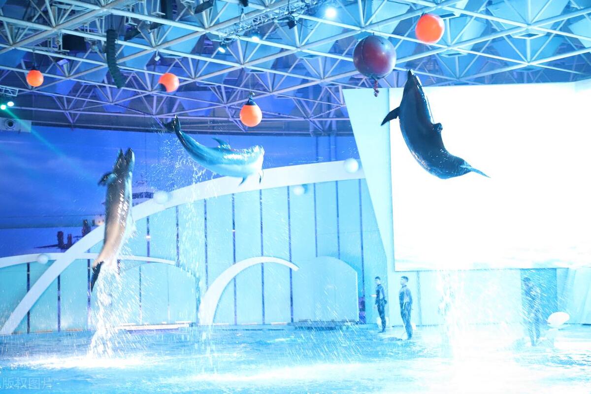 暑假旅游胜地亲子,暑假亲子好去处景点推荐