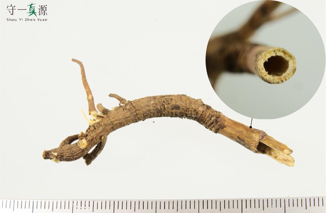 中药鉴定真假找谁,柴胡真假优劣鉴别