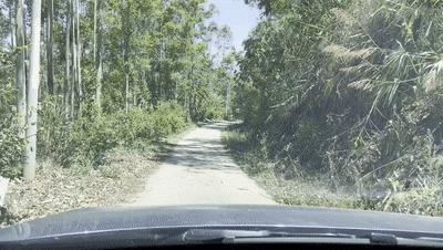 2020万峰湖野钓大罗非,万峰湖陇纳村野钓大罗非